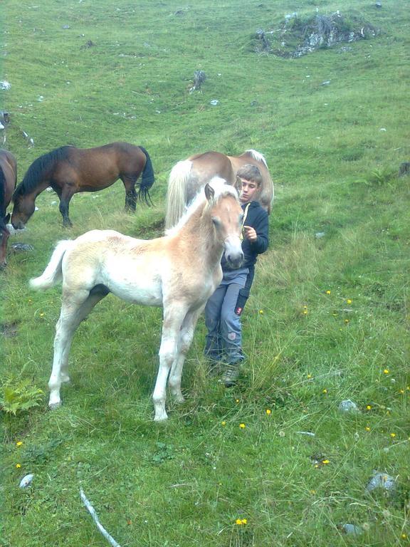 Haus Sonnental Leilighet Filzmoos Eksteriør bilde